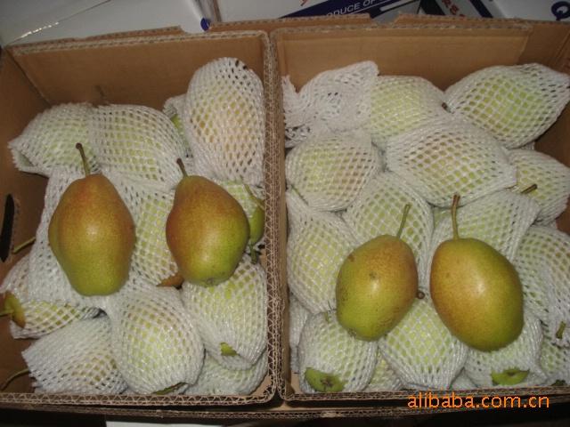 脆甜可口,润肺止渴红香酥】价格,厂家,图片,梨,泊头市恒聚果品有限