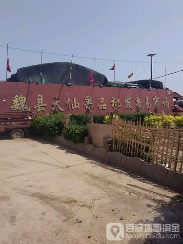魏县天仙果品批发交易市场
