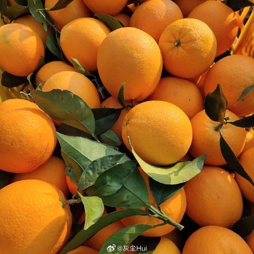 辉达果品